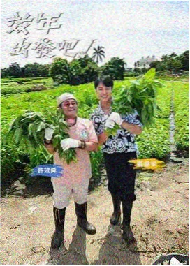 无敌电影网 户外真人秀 一起去露营吧 海报